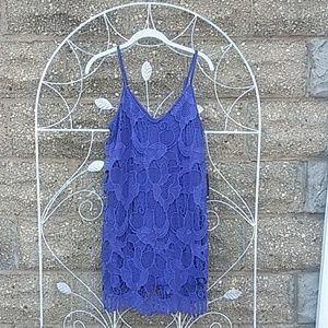 Express Knee Length Dress